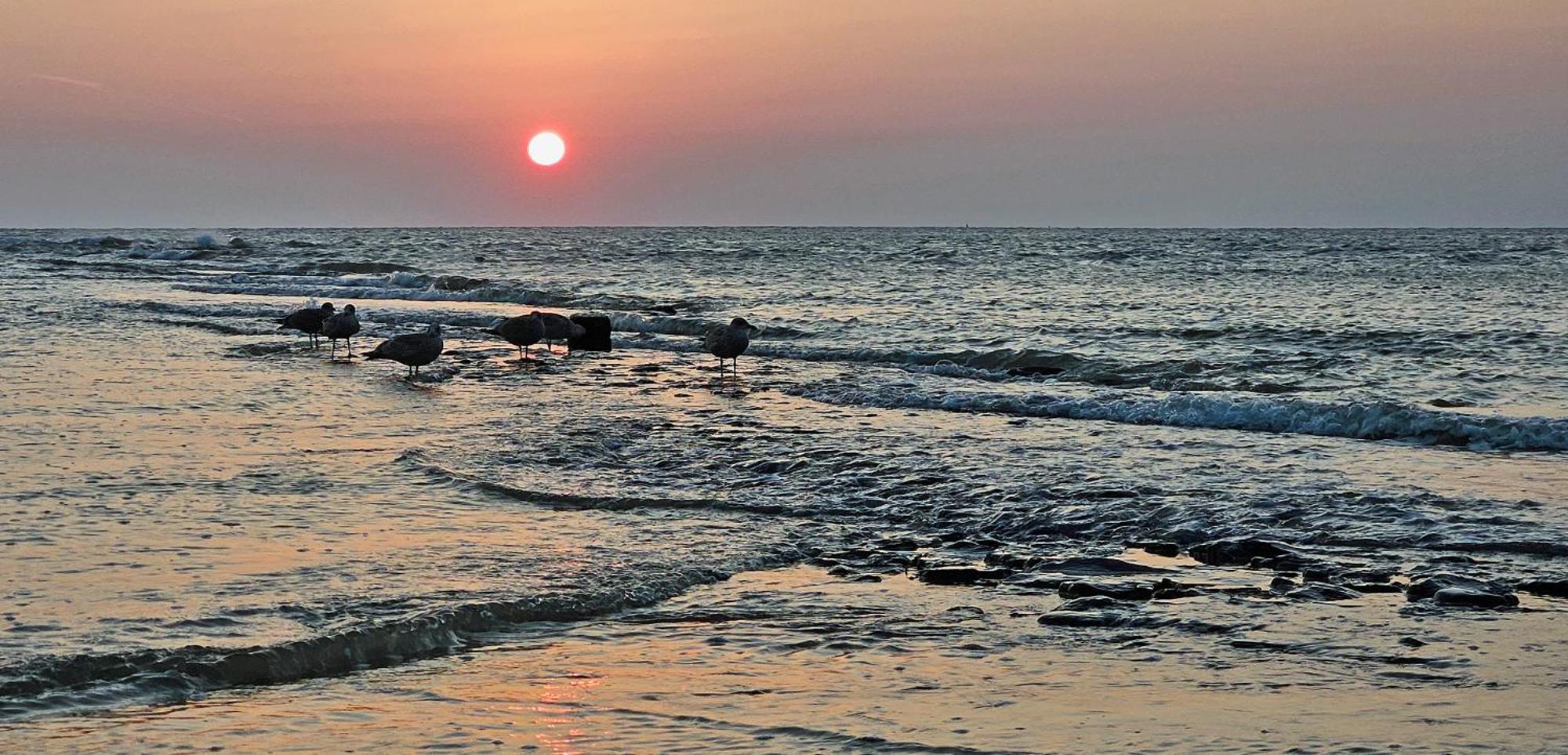 Zanddijk 113, Julianadorp Aan Zee Екстериор снимка